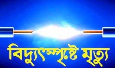 রাজবাড়ীতে বিদ্যুৎস্পৃষ্টে একজনের মৃত্যু