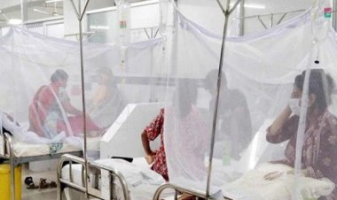 ডেঙ্গু আক্রান্ত হয়ে হাসপাতালে ভর্তি ৩৪ জন