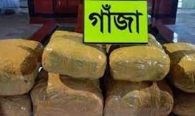 যাত্রাবাড়ীতে ৫০ কেজি গাঁজাসহ গ্রেপ্তার ২