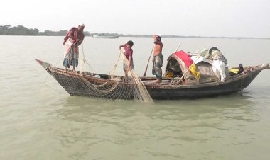 ভরা মৌসুমেও দেখা নেই রুপালি ইলিশের