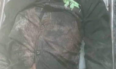 জামালপুরে সহকর্মীর ছুরির আঘাতে এক জনের মৃত্যু