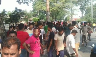 বাসের ধাক্কায় পশু চিকিৎসক নিহত