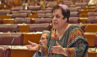 পিটিআই এর সিনিয়র ভাইস প্রেসিডেন্ট শিরিন গ্রেফতার