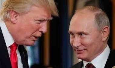 যুদ্ধ বন্ধে পুতিনের সঙ্গে দেখা করবেন ট্রাম্প