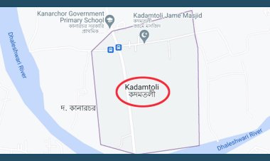 কদমতলীতে কীটনাশক খেয়ে রিকশাচালকের মৃত্যু