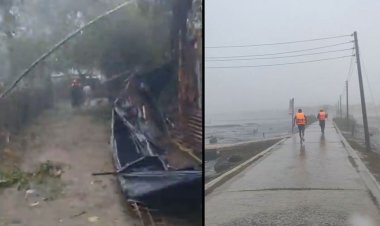 সেন্টমার্টিনে গাছচাপায় নারীসহ ২ জনের মৃত্যু