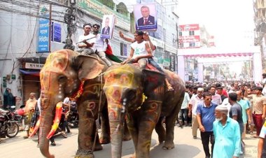 রাষ্ট্রপতির সফর ঘিরে পাবনায় সাজ সাজ রব