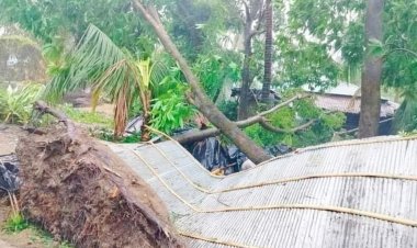 মোখার তাণ্ডবে কক্সবাজারে ১০ হাজার ঘরবাড়ি ক্ষতিগ্রস্ত, আহত ১১