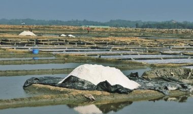 মহেশখালীতে ৩ লবণচাষির মৃত্যু