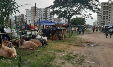 কোরবানির ঈদে আফতাব নগরে গরুর হাট না বসাতে রিট