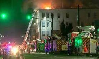 নিউজিল্যান্ডে হোস্টেলে অগ্নিকাণ্ড, নিহত ১০