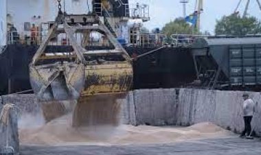 শস্য চুক্তি থেকে বেরিয়ে যাওয়ার হুমকি রাশিয়ার, ঝুঁকিতে বিশ্ব খাদ্য নিরাপত্তা