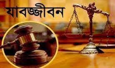 হত্যা মামলার ১৭ বছর পর একজনের যাবজ্জীবন