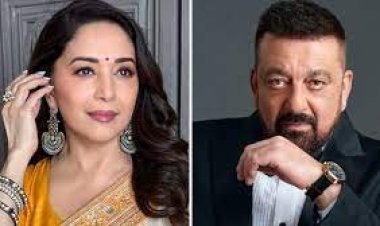 অন্তঃসত্ত্বা না হওয়ার শর্তে সই করেছিলেন মাধুরী