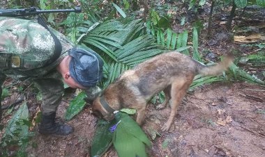 বিমান দুর্ঘটনার প্রায় তিন সপ্তাহ পর ৪ শিশুকে জীবিত উদ্ধার
