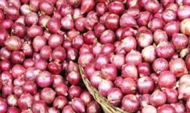 শুধু সিন্ডিকেট নয়, পেঁয়াজের দাম বৃদ্ধিতে লাখ লাখ মানুষ জড়িত