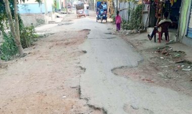 দাগনভূঞা-রাজাপুর সড়কের বেহাল দশা