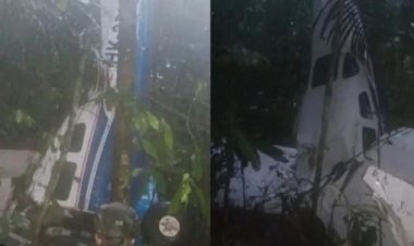 বিমান বিধ্বস্তের দুই সপ্তাহ পর চার শিশুকে জীবিত উদ্ধার