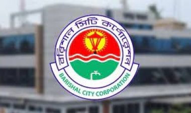 প্রার্থিতা ফিরে পেতে আপিল করবেন দুই মেয়র প্রার্থী