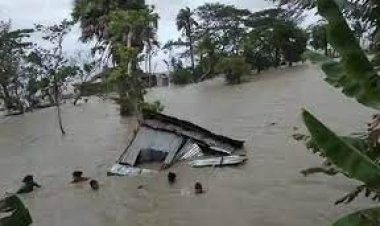 বাংলাদেশসহ দক্ষিণ এশিয়ায় গত বছরে বাস্তুচ্যুত ১ কোটি ২৫ লাখ মানুষ