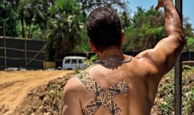 টাইগার থ্রি ছবির সেটে আহত সালমান খান