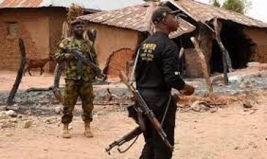 নাইজেরিয়ায় সংঘর্ষে নিহত অন্তত ৮৫