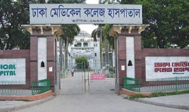 রিকশা থেকে পড়ে পিকআপ চাপায় নারী নিহত