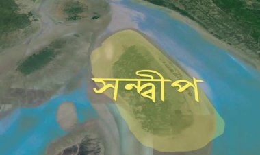 সন্দ্বীপ আওয়ামী লীগের আরও তিন নেতাকে দল থেকে অব্যাহতি