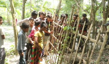 কবরস্থান থেকে ৭ কঙ্কাল চুরি, এলাকায় আতঙ্ক