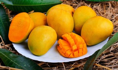 যেভাবে আম খেলে ডায়াবেটিস রোগীদের ব্লাড সুগার বাড়বে না