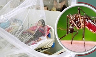 ডেঙ্গুতে একজনের মৃত্যু, হাসপাতালে ভর্তি ৩৩
