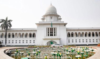 আফতাবনগরে গরুর হাট বসানো যাবে না : হাইকোর্ট
