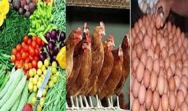 ডিমের হালি ৫০, কাঁচামরিচের ডাবল সেঞ্চুরি
