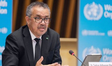 বিশ্বকে পরবর্তী মহামারির জন্য প্রস্তুত থাকতে হবে: বিশ্ব স্বাস্থ্য সংস্থা