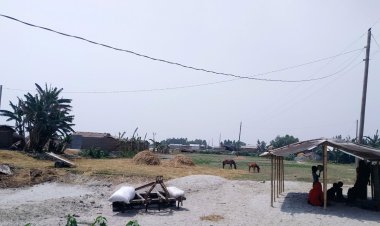 ঘুষ না দেওয়ায় মিলছে না বিদ্যুৎ সংযোগ