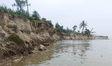 বিলীন হচ্ছে ঘরবাড়ি, নির্ঘুম রাত কাটছে যমুনাপাড়ের মানুষের
