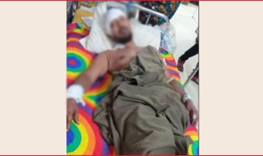 গাছের ডাল কাটাকে কেন্দ্র করে ভাইকে কুপিয়ে জখম