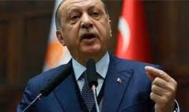 স্বৈরতন্ত্রের তকমা প্রত্যাখ্যান করলেন এরদোয়ান