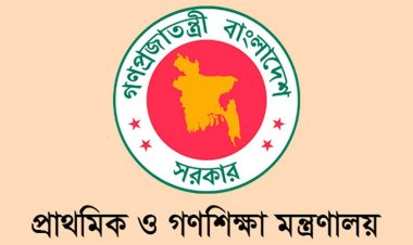 ৩ ক্যাটাগরির স্কুলকে ‘সরকারি স্কুল’ লেখার অনুমতি