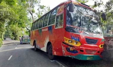 বাসচাপায় ভাইবোনসহ প্রাণ গেল তিনজনের, আহত ৪