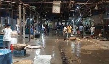 ইলিশ শূন্য চাঁদপুর মাছঘাট