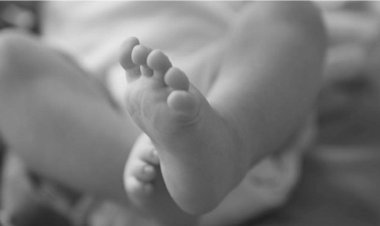 বুয়েটের পাশে ডাস্টবিনে পড়েছিল নবজাতকের মরদেহ