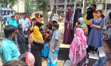 পাটখেতে শাক তুলতে গিয়ে প্রাণ গেল গৃহবধূর 