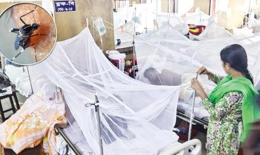 একদিনে ডেঙ্গু আক্রান্ত হয়ে হাসপাতালে ভর্তি ৮০