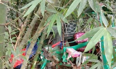 লক্ষ্মীপুরে বাস-অটোরিকশার সংঘর্ষে নারীর মৃত্যু, আহত ৩