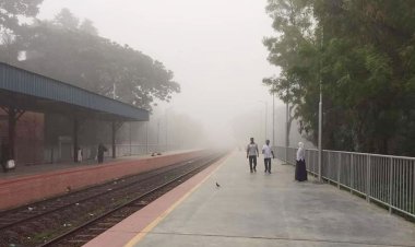চুয়াডাঙ্গায় হঠাৎ কুয়াশা, যা বলছে আবহাওয়া অফিস