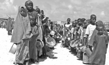 কেন বিশ্বের ৮০ কোটি মানুষ ক্ষুধা নিয়ে ঘুমান?