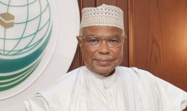 উখিয়ায় রোহিঙ্গা ক্যাম্প ঘুরে দেখলেন ওআইসি মহাসচিব