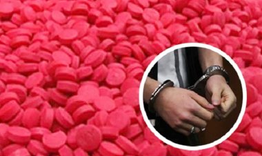 মাদক পাচারে সংশ্লিষ্টতা বেড়েছে চালকদের, চিন্তার ভাঁজ ডিএনসির