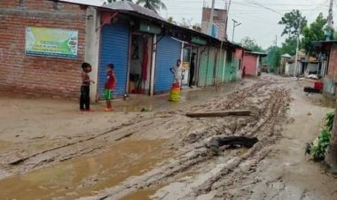 হরিপুর কুষ্টিয়া সংযোগ সেতুর  আশেপাশের প্রায় ১৭কিলোমিটার রাস্তায় জনদুর্ভোগ! 